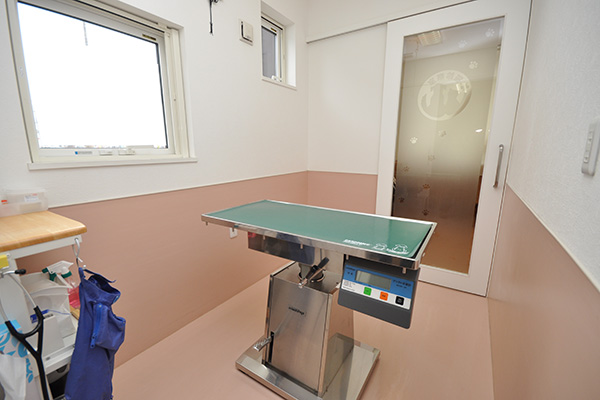 院内画像-診察室.1