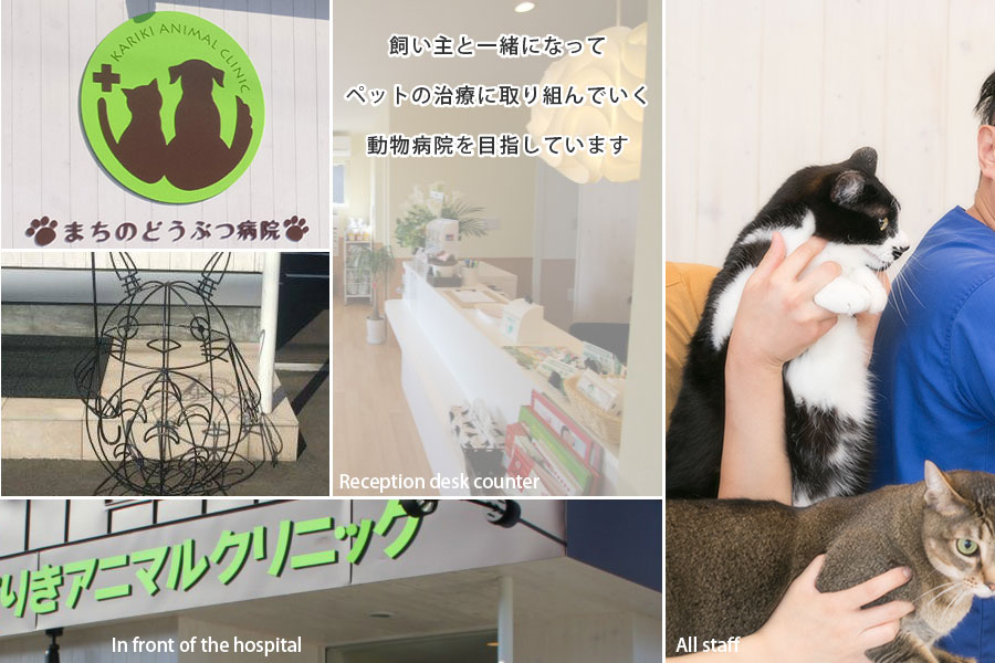 トップイメージ画像