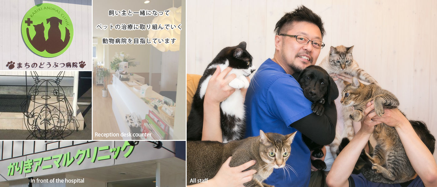 トップイメージ画像