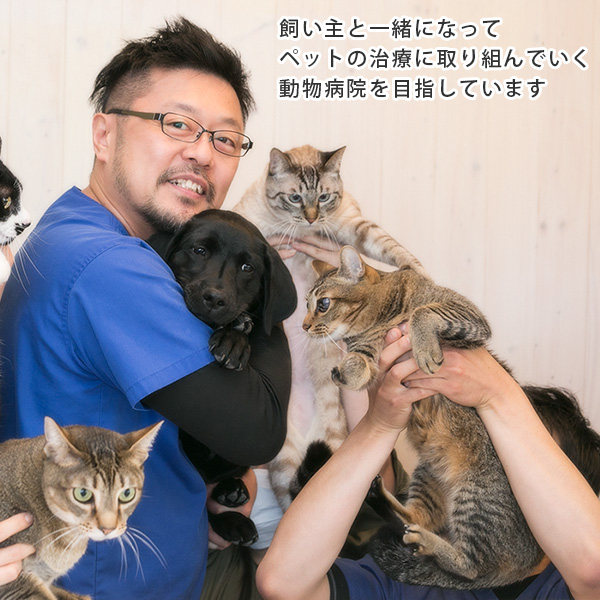 トップイメージ画像